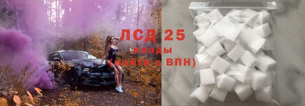 стаф Балахна